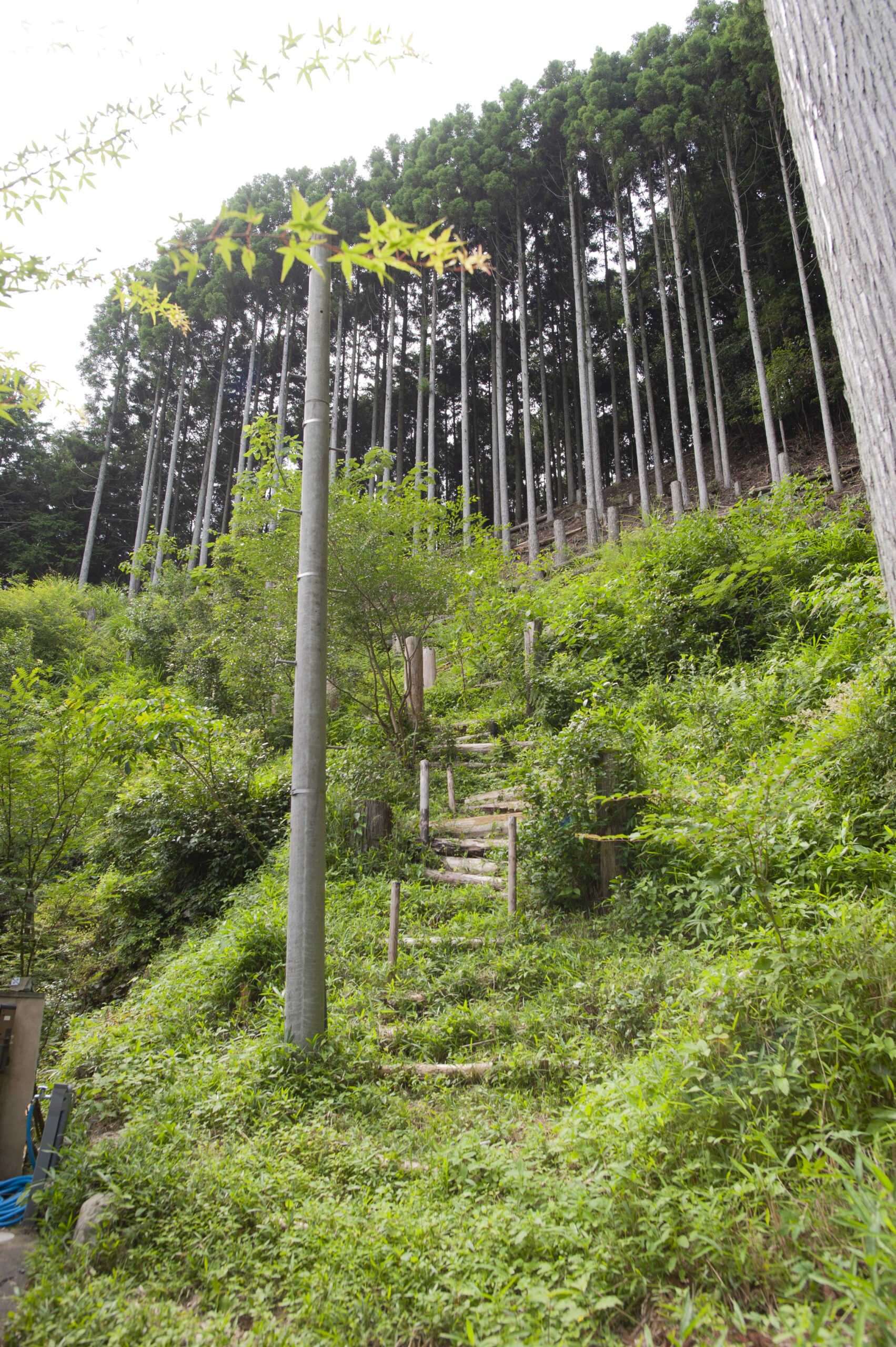 大地の再生の視点から考えるこれからの建築のあり方